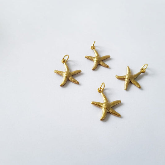 Add a Starfish Charm